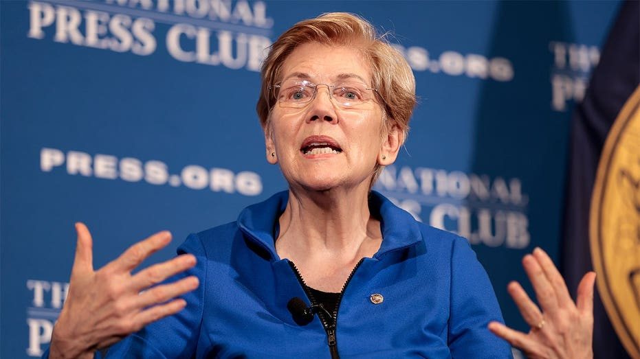 Elizabeth Warren Faces Backlash Over Endorsement of Progressive Michigan Candidate