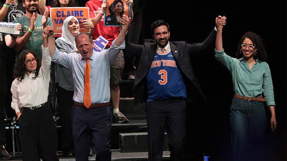 Far-Left Insurgents Challenge Democratic Establishment in 2026 Midterms
