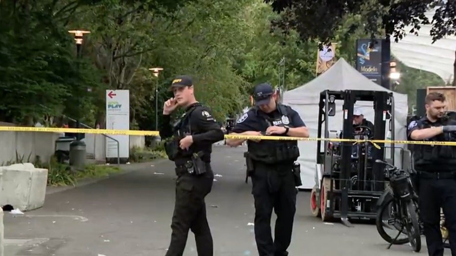 Three Dead, Toddler Among Wounded in Seattle Center Mass Shooting