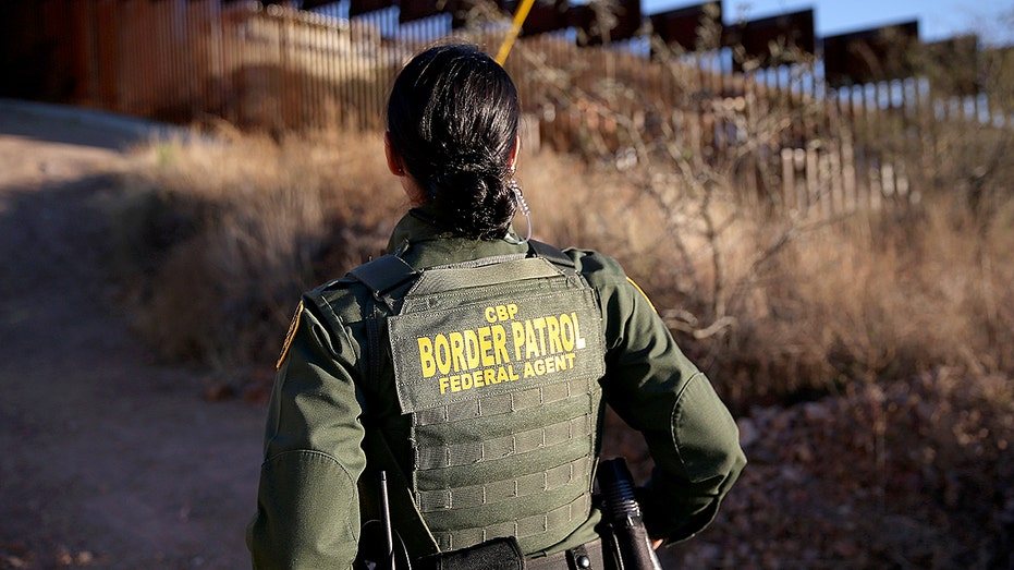 Border agents seize $10.8 million in cocaine hidden in cabbage shipment at Texas port