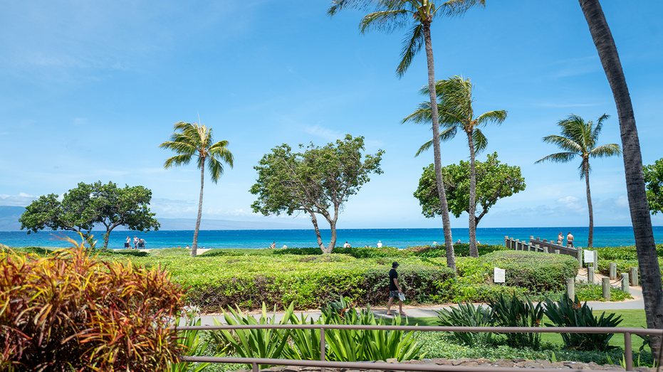 California Family Alleges Racially Motivated Attack at Maui Resort