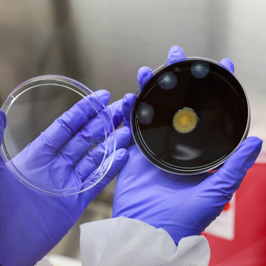 Third Death Confirmed in Manhattan Legionnaires’ Disease Outbreak