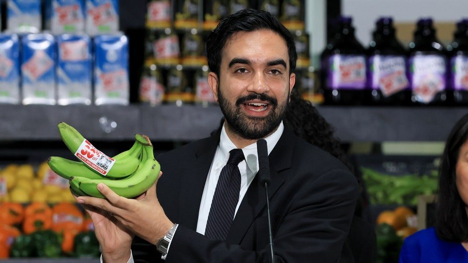 Economist warns New York City grocery plan could force taxpayers to cover losses